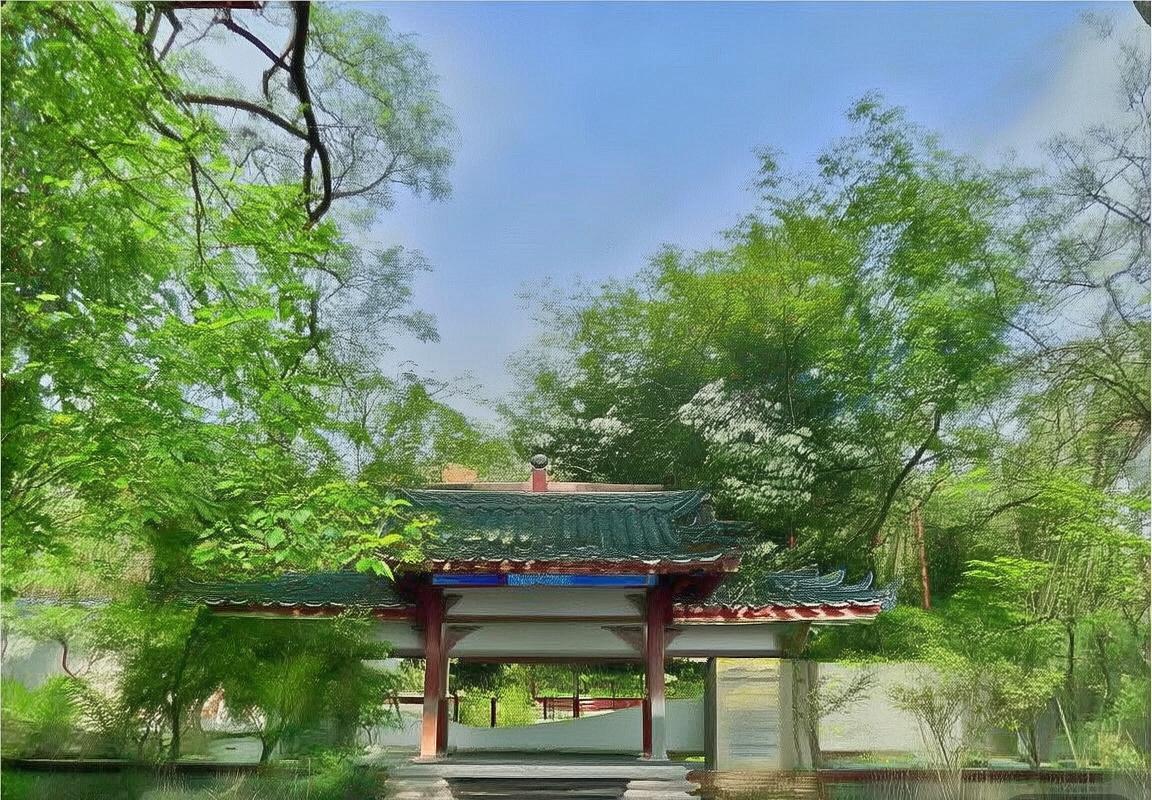 运动聚焦：达拉斯独行侠队核心安东尼·戴维斯腹股沟拉伤，将缺席数场比赛